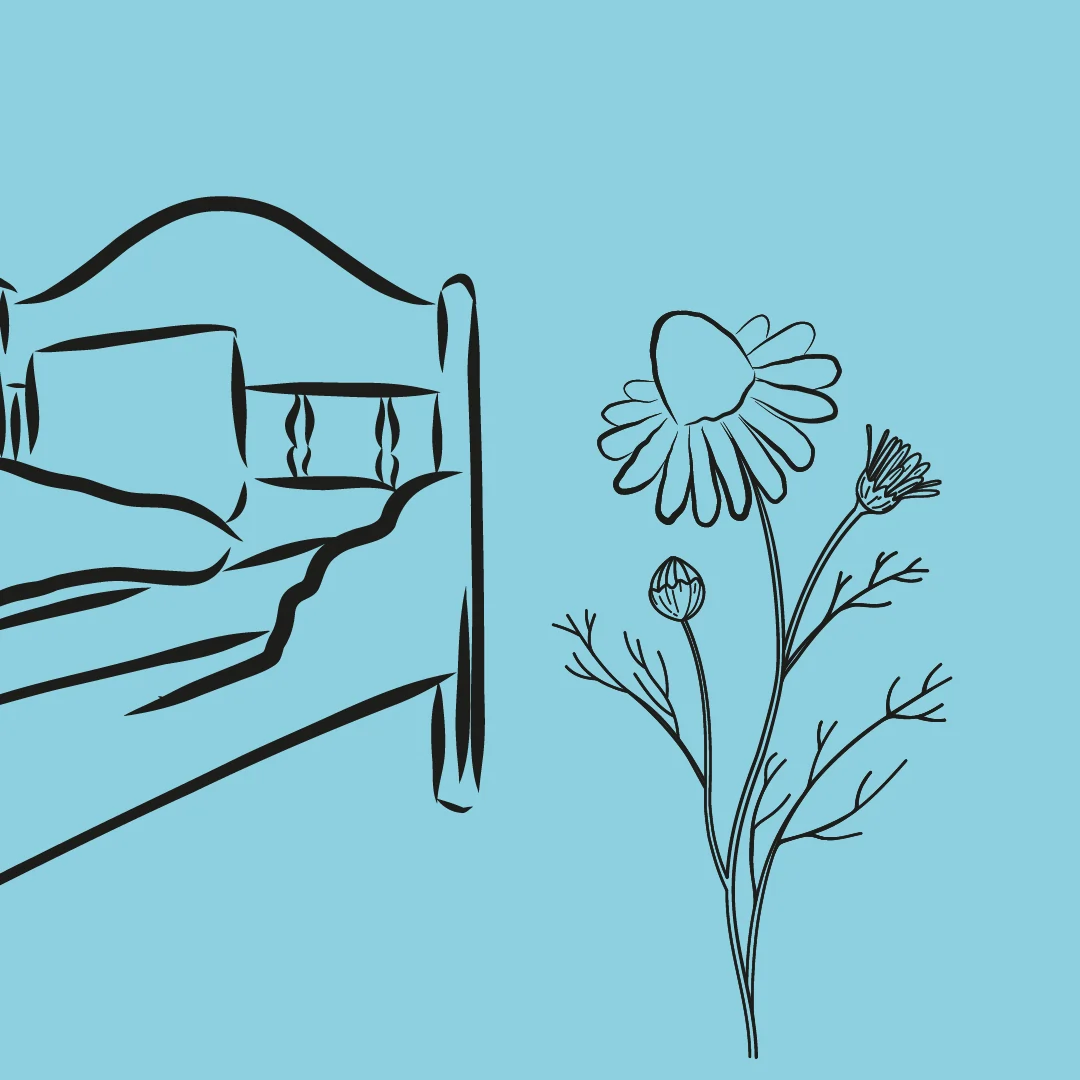 Inspired by the countryside and nature
