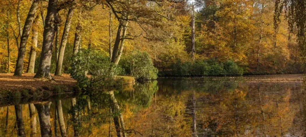Autumn