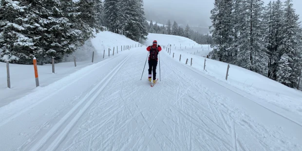 Cross country skiing